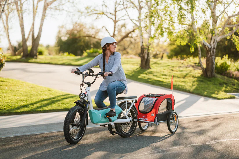 HIMIWAY C3 Cargo Bike